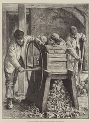 Landwirtschaftliche Szenen, Januar, Schweden für Winterfutter schneiden